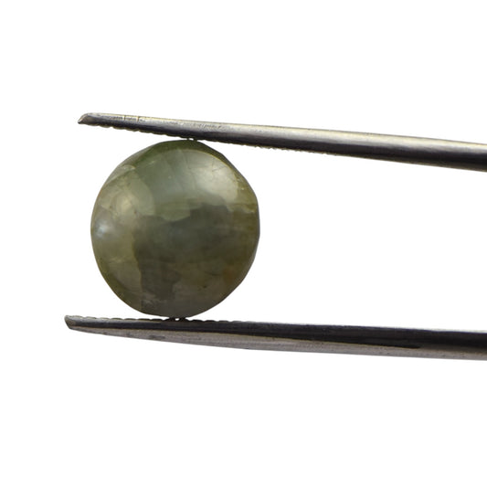 Natural Cat's Eye - 7.8 Carat