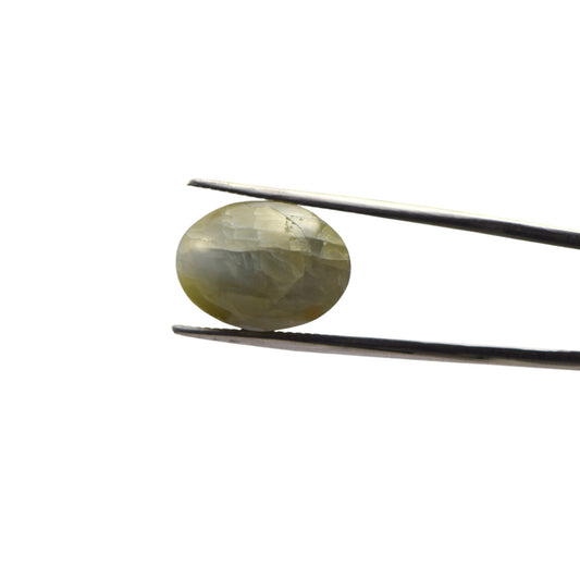 Natural Cat's Eye - 14.5 Carat