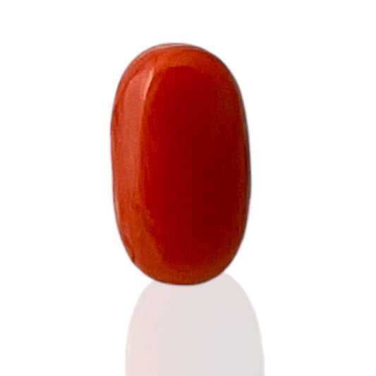 Natural Coral (Italian) - 5.8 Carat