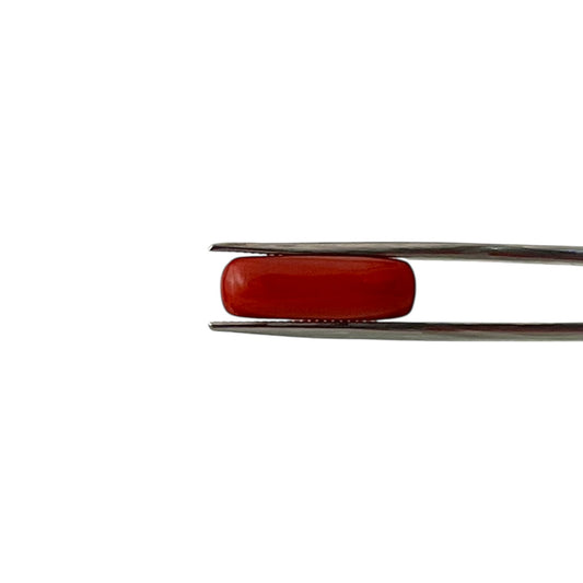 Natural Coral (Italian) - 7.3 Carat