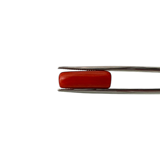 Natural Coral (Italian) - 7.8 Carat