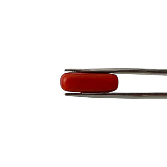 Natural Coral (Italian) - 7.1 Carat