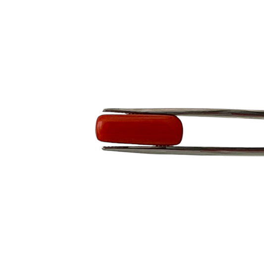 Natural Coral (Italian) - 7.8 Carat