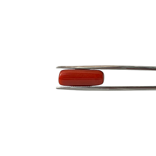 Natural Coral (Italian) - 7.7 Carat