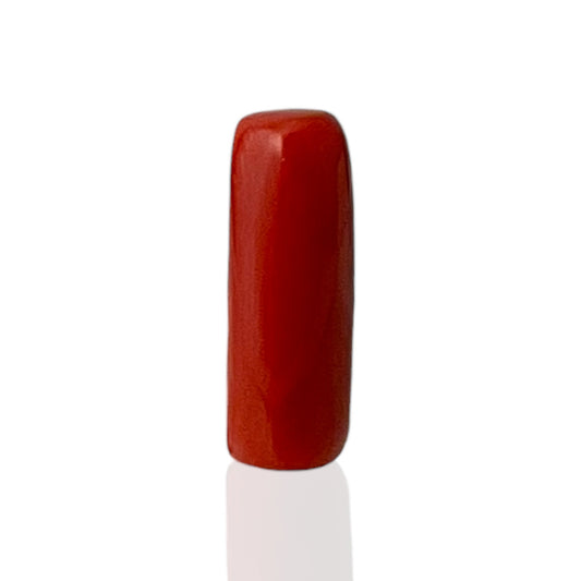 Natural Coral (Italian) - 7.7 Carat
