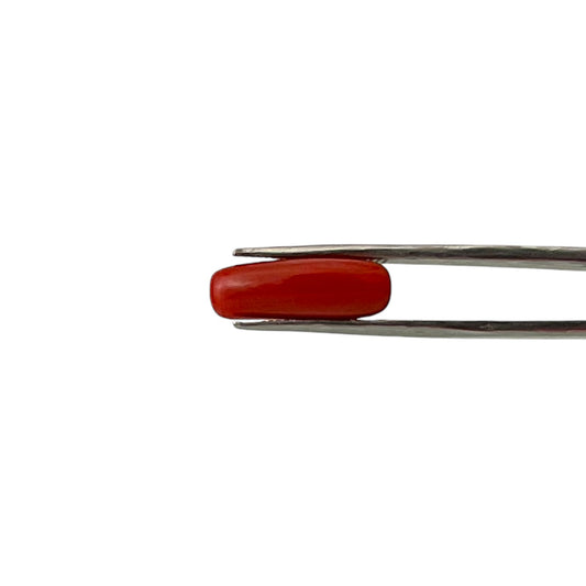 Natural Coral (Italian) - 7.1 Carat