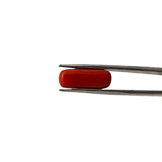 Natural Coral (Italian) - 7.8 Carat