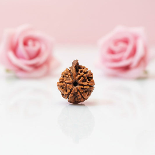 Natural Ganesh Rudraksha Beads – Available in A, AA & AAA Quality