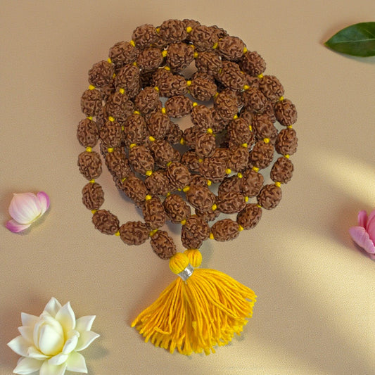 3 Mukhi Rudraksha Mala (54+1)