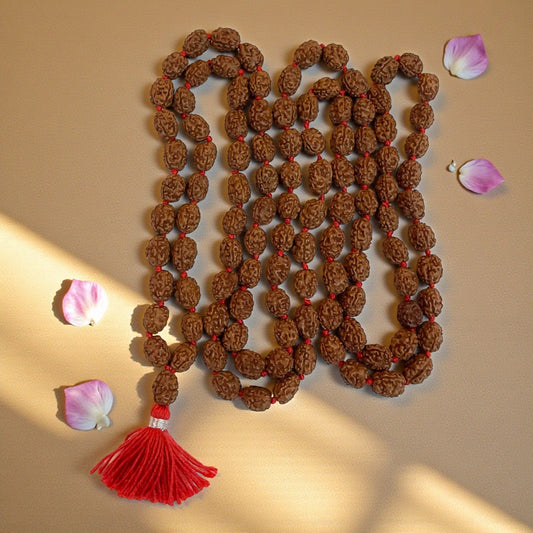 3 Mukhi Rudraksha Mala (108+1)