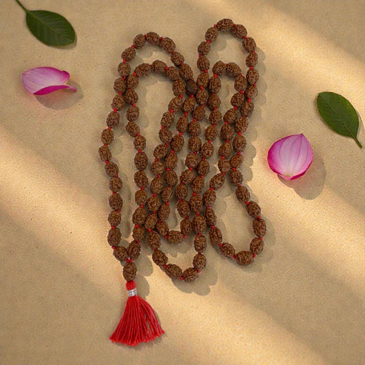 3 Mukhi Rudraksha Mala (108+1)