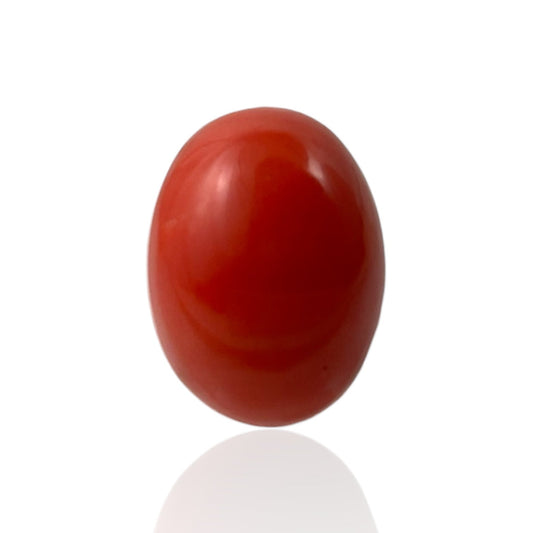 Red Coral (Japanese) - 9.7 Carat