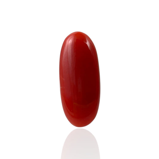 Red Coral (Japanese) - 5.6 Carat