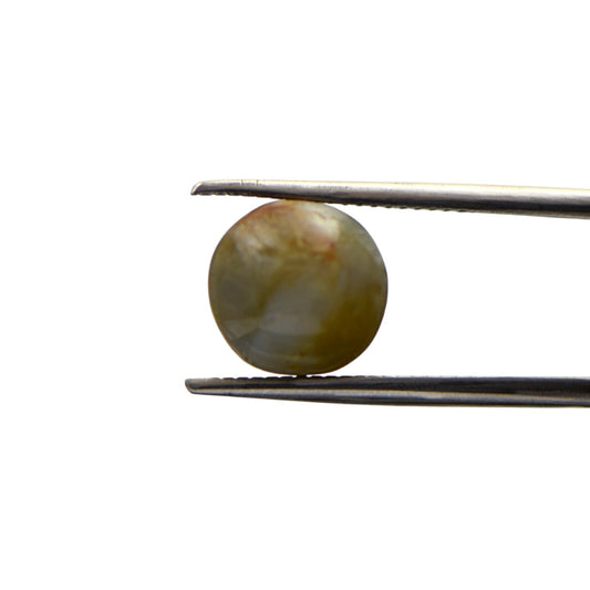 Natural Cats Eye Chrysoberyl - 7.5 Carat