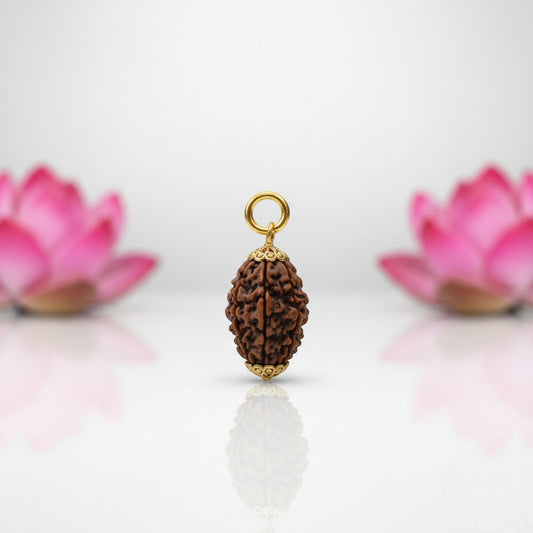 Natural 3 Mukhi Rudraksha Pendant-Gold Plated