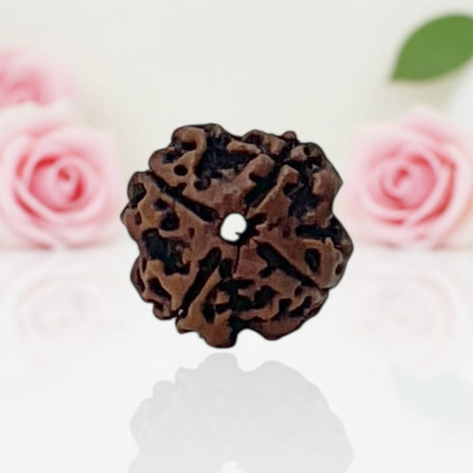Natural 4 Mukhi Rudraksha Beads AA Premium Quality