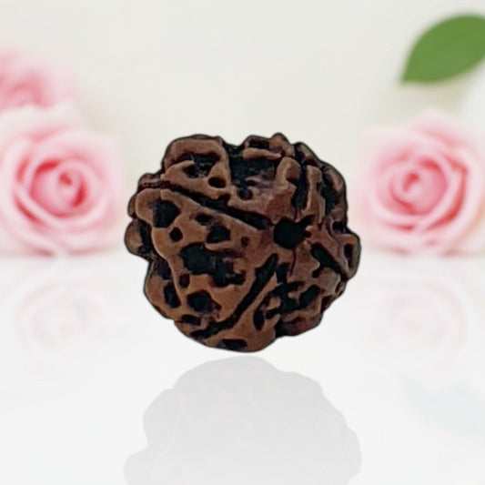 Natural 4 Mukhi Rudraksha Beads AA Premium Quality
