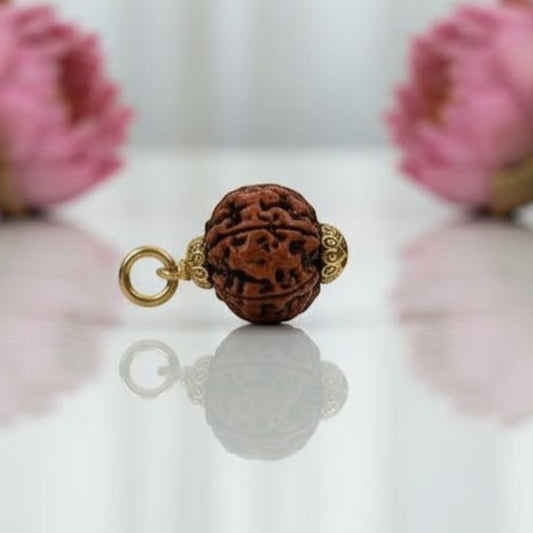 Natural 6 Mukhi Rudraksha Pendant – Gold Plated