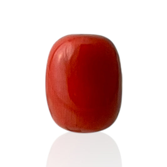 Red Coral (Italian) - 8.21 Carat
