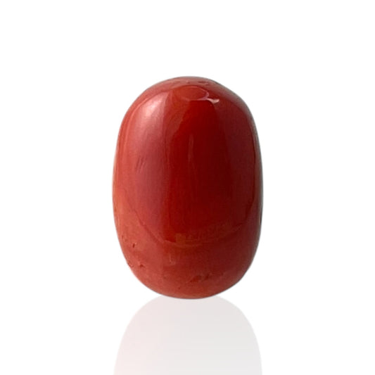 Red Coral (Italian) - 7.55 Carat