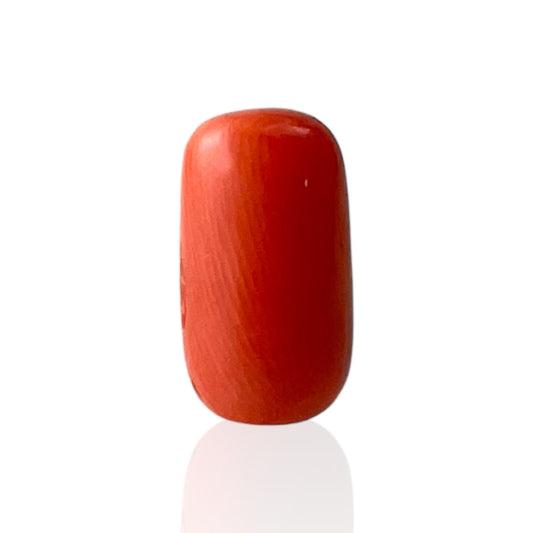 Red Coral (Italian) - 5.38 Carat