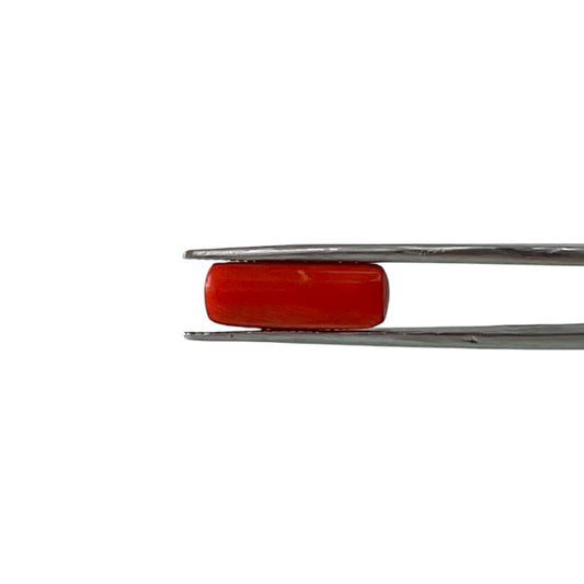 Red Coral (Italian) - 6.64 Carat