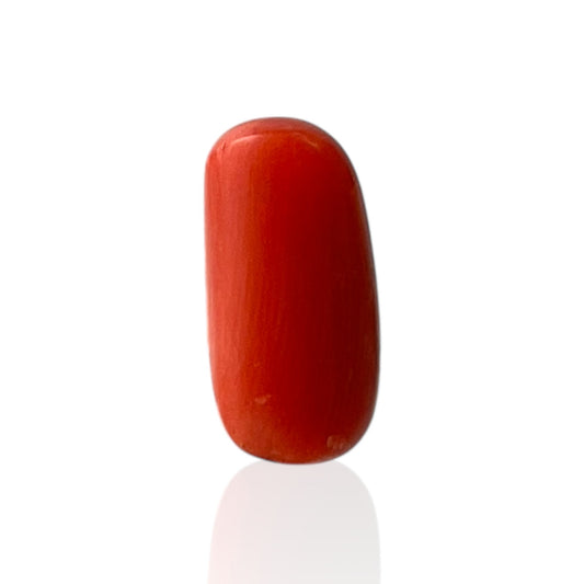 Red Coral (Italian) - 6.09 Carat