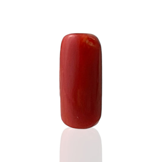Red Coral (Italian) - 5.17 Carat