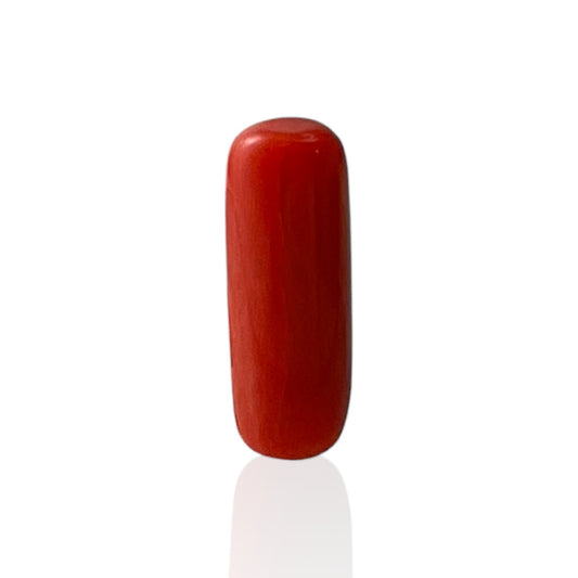 Red Coral (Italian) - 6.47 Carat