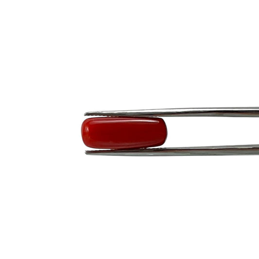 Red Coral (Italian) - 6.52 Carat