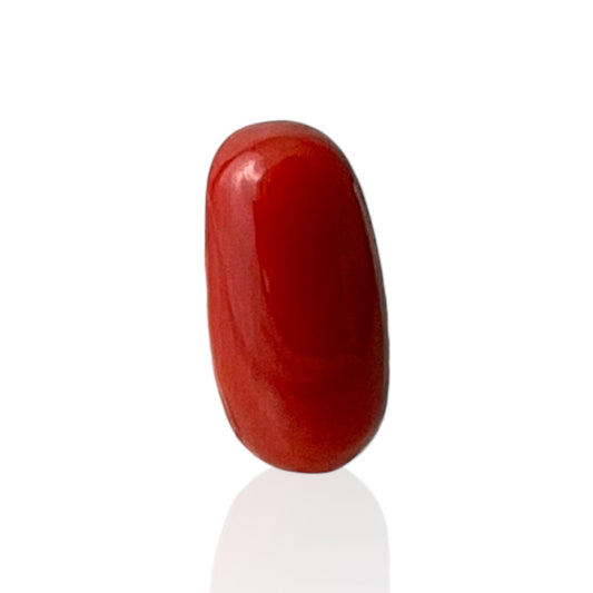 Red Coral (Italian) - 6.43 Carat