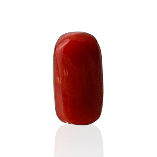 Red Coral (Italian) - 4.82 Carat