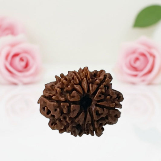 Natural 9 Mukhi Nepali Rudraksha Beads