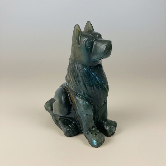 Labrodorite Dog
