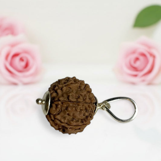 7 Mukhi Rudraksha Pendant AA Premium Quality