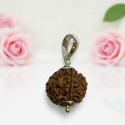 7 Mukhi Rudraksha Pendant AA Premium Quality