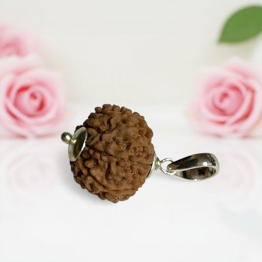 7 Mukhi Rudraksha Pendant AAA Premium Quality