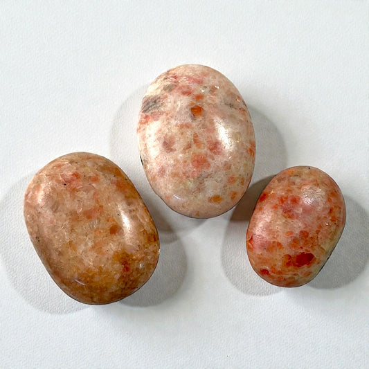 Sunstone Palm