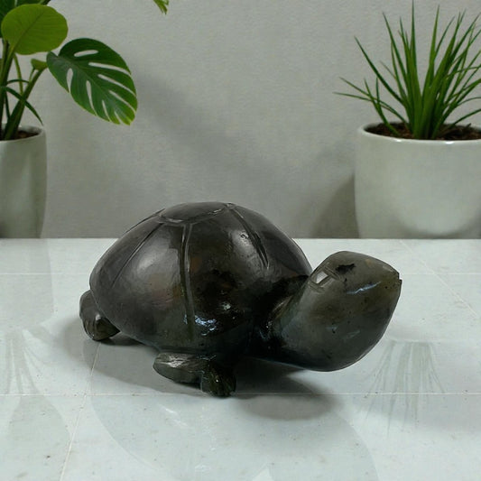 Labrodorite Turtle