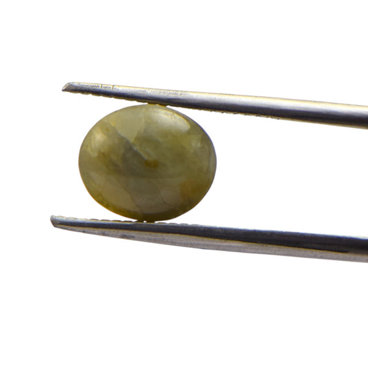 Natural Cat's Eye - 4.6 Carat
