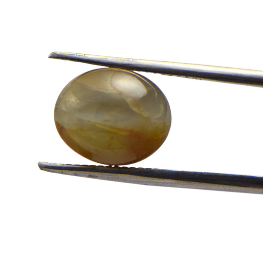 Natural Cat's Eye - 8.2 Carat