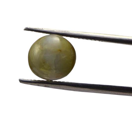 Natural Cat's Eye - 6.3 Carat