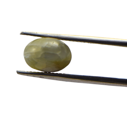 Natural Cat's Eye - 5.4 Carat