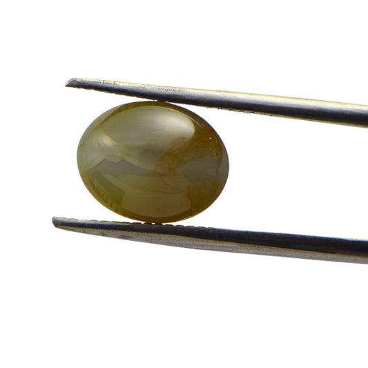 Natural Cat's Eye - 6.2 Carat