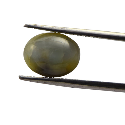 Natural Cat's Eye - 4.8 Carat