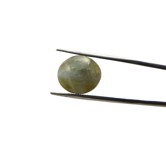 Natural Cat's Eye - 18.4 Carat