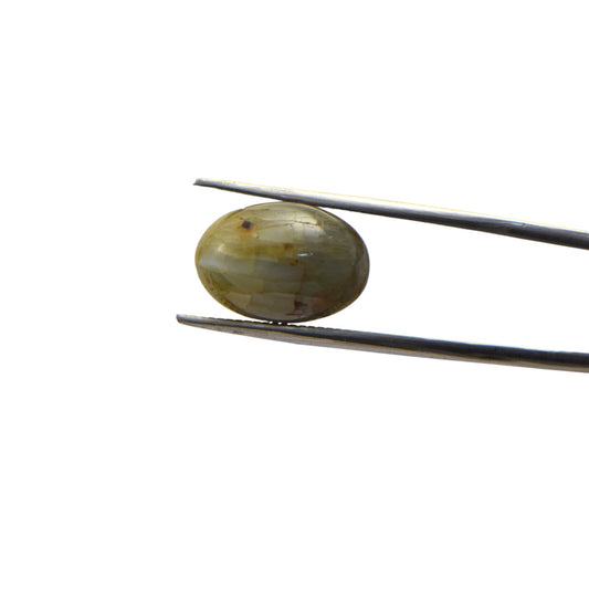 Natural Cat's Eye - 14.5 Carat