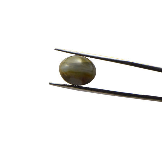 Natural Cat's Eye - 16.6 Carat