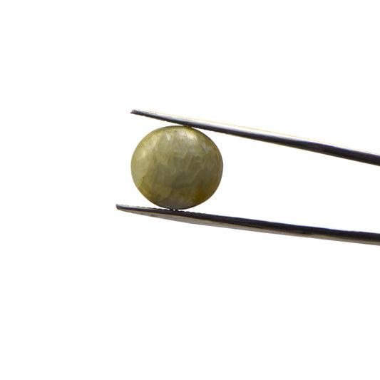 Natural Cat's Eye - 12.5 Carat