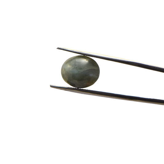 Natural Cat's Eye - 11.8 Carat